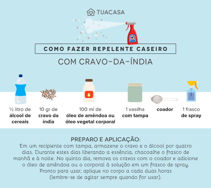 Chega de sustos! Afaste as baratas da sua casa com essas plantas