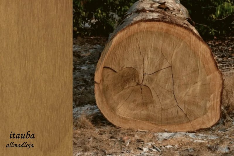 Madeiras na decoração – Tipos e usos